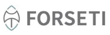 Forseti - Top Companies Forseti